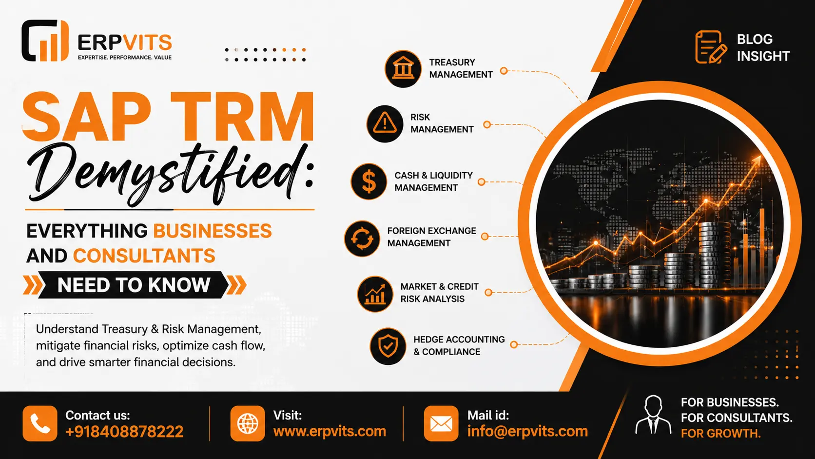 SAP TRM Demystified: Everything Businesses and Consultants Need to Know